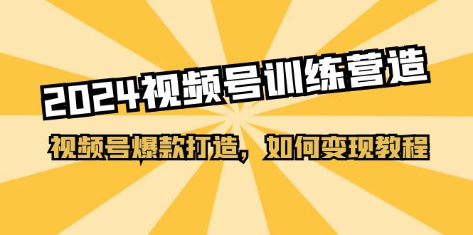 （11135期）2024视频号训练营，视频号爆款打造，如何变现教程（20节课）-枫客网创