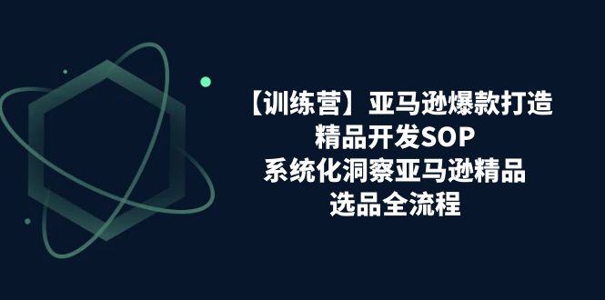 （11210期）【训练营】亚马逊爆款打造之精品开发SOP，系统化洞察亚马逊精品选品全流程-枫客网创