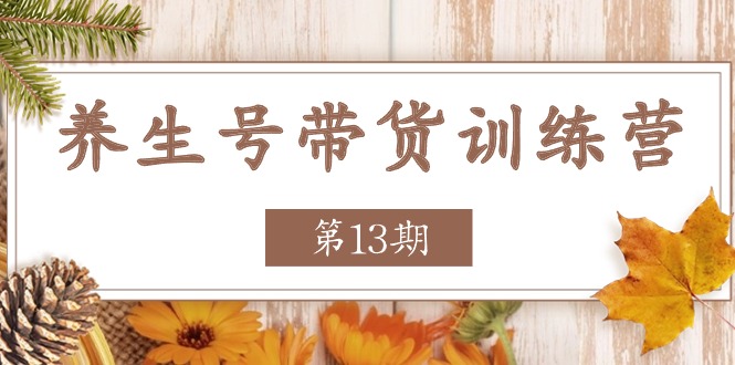 （11275期）养生号-带货训练营【第13期】收益更稳定的玩法，让你带货收益爆炸-枫客网创