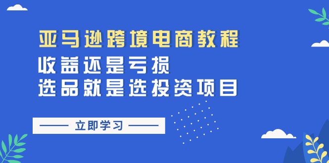 （11432期）亚马逊跨境电商教程：收益还是亏损！选品就是选投资项目-枫客网创