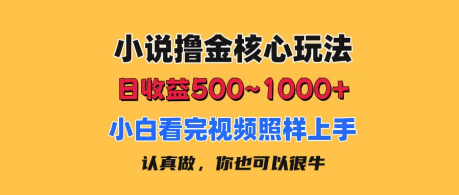 （11461期）小说撸金核心玩法，日收益500-1000+，小白看完照样上手，0成本有手就行-枫客网创