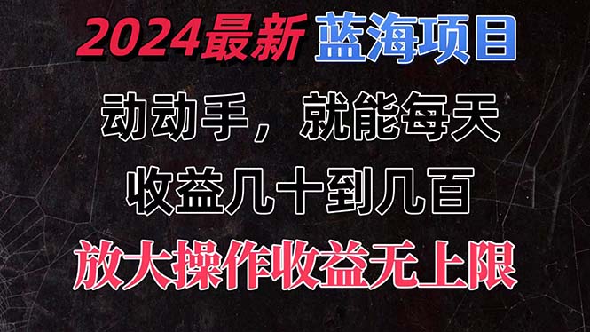 （11470期）有手就行的2024全新蓝海项目，每天1小时收益几十到几百，可放大操作收…-枫客网创