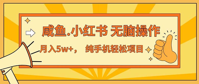 （11524期）2024最赚钱的项目，咸鱼，小红书无脑操作，每单利润500+，轻松月入5万+…-枫客网创