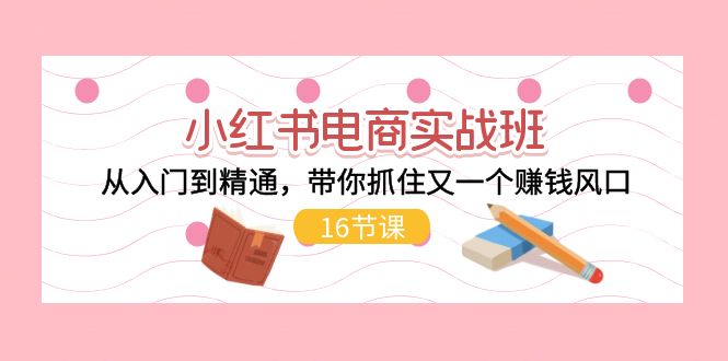 （11533期）小红书电商实战班，从入门到精通，带你抓住又一个赚钱风口（16节）-枫客网创