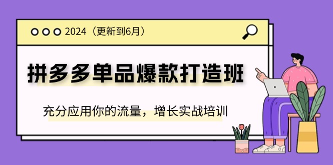 （11556期）2024拼多多-单品爆款打造班(更新6月)，充分应用你的流量，增长实战培训-枫客网创