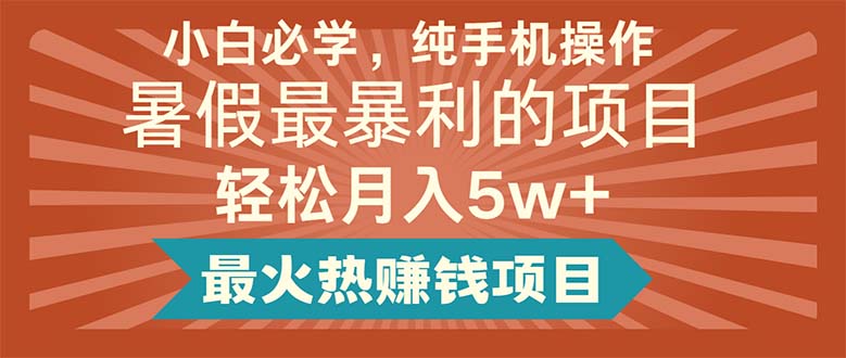 （11583期）小白必学，纯手机操作，暑假最暴利的项目轻松月入5w+最火热赚钱项目-枫客网创