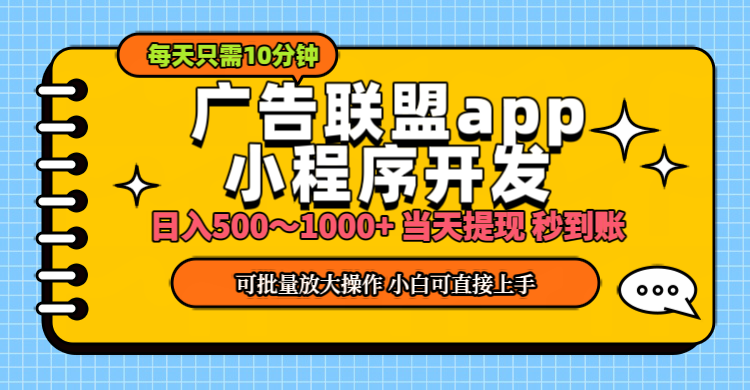 （11645期）小程序开发 广告赚钱 日入500~1000+ 小白轻松上手！-枫客网创