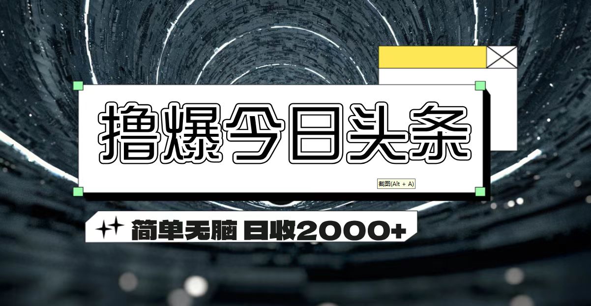 （11665期）撸爆今日头条 简单无脑操作 日收2000+-枫客网创