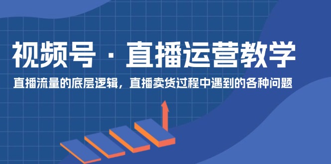 （11687期）视频号 直播运营教学：直播流量的底层逻辑，直播卖货过程中遇到的各种问题-枫客网创