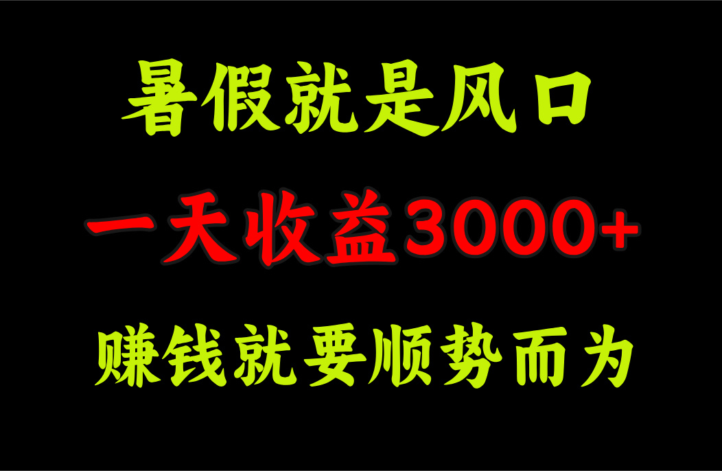 （11670期）一天收益3000+ 赚钱就是顺势而为，暑假就是风口-枫客网创