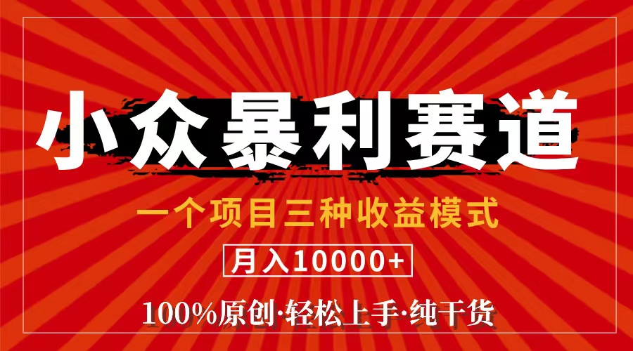 （11695期）视频号【中老年粉深信不疑】小众赛道 100%原创 手把手教学 新号3天收益…-枫客网创