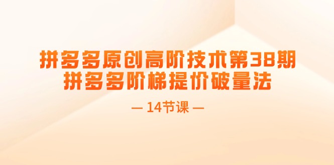 （11704期）拼多多原创高阶技术第38期，拼多多阶梯提价破量法（14节课）-枫客网创