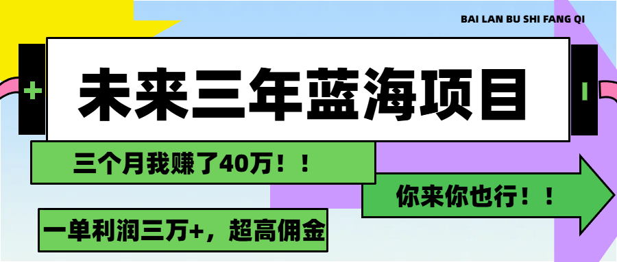 （11716期）未来三年，蓝海赛道，月入3万+-枫客网创