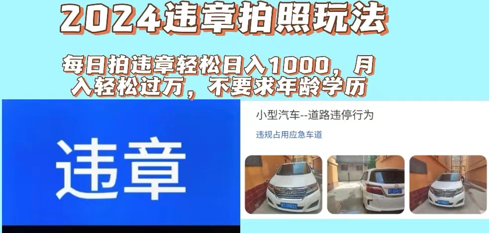 （11743期）2024违章拍照新玩法，推广躺赚+拍照赚钱双模式，日入1000+-枫客网创