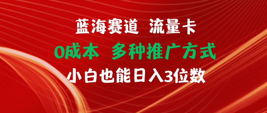 （11768期）蓝海赛道 流量卡 0成本 小白也能日入三位数-枫客网创