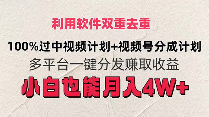 （11862期）利用软件双重去重，100%过中视频+视频号分成计划小白也可以月入4W+-枫客网创