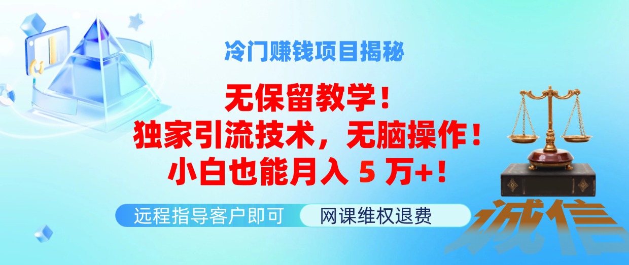 （11864期）冷门赚钱项目无保留教学！独家引流技术，无脑操作！小白也能月入5万+！-枫客网创