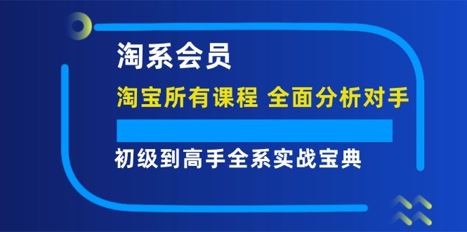 （12055期）淘系会员【淘宝所有课程，全面分析对手】，初级到高手全系实战宝典-枫客网创