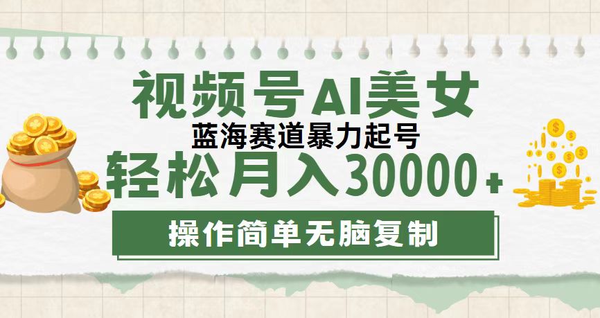 （12087期）视频号AI美女跳舞，轻松月入30000+，蓝海赛道，流量池巨大，起号猛，无…-枫客网创