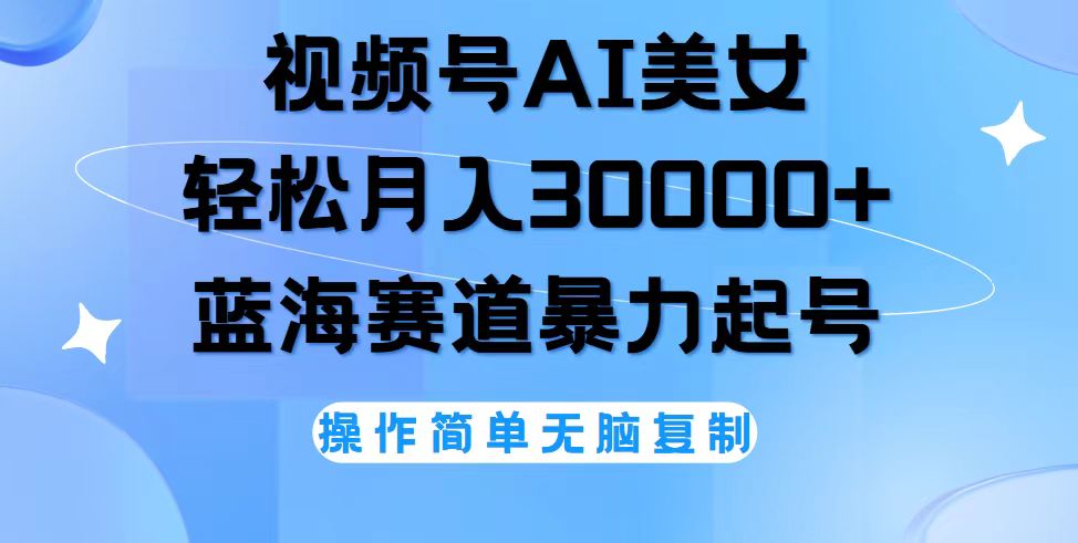 （12125期）视频号AI美女跳舞，轻松月入30000+，蓝海赛道，流量池巨大，起号猛，无…-枫客网创