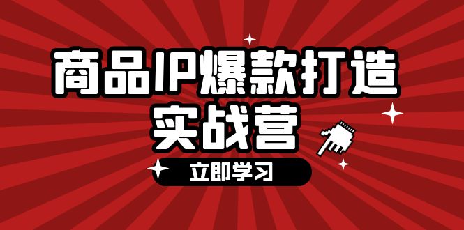 （12136期）商品-IP爆款打造实战营【第四期】，手把手教你打造商品IP，爆款 不断-枫客网创