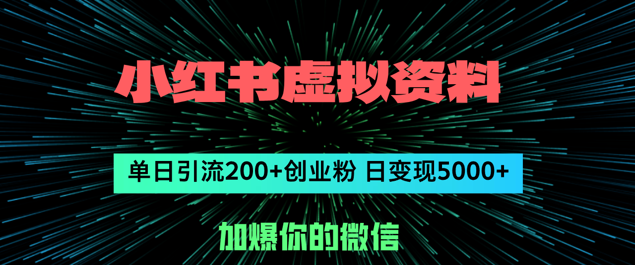 （12164期）小红书虚拟资料日引流200+创业粉，单日变现5000+-枫客网创