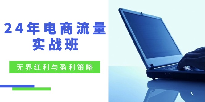 （12168期）24年电商流量实战班：无界 红利与盈利策略，终极提升/关键词优化/精准…-枫客网创