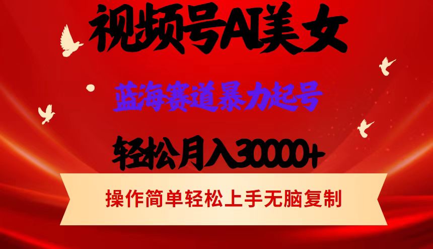 （12178期）视频号AI美女跳舞，轻松月入30000+，蓝海赛道，流量池巨大，起号猛，当…-枫客网创