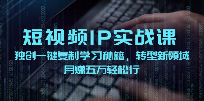 （12193期）短视频 IP实战课，独创一键复制学习秘籍，转战新领域，月赚五万轻松行-枫客网创