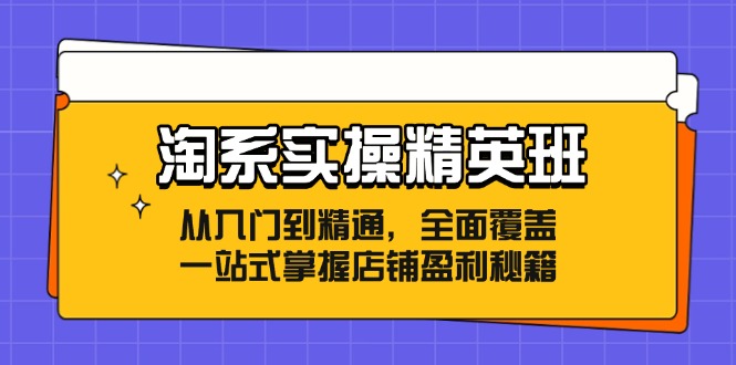 （12276期）淘系实操精英班：从入门到精通，全面覆盖，一站式掌握店铺盈利秘籍-枫客网创