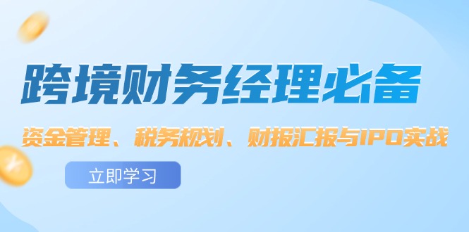 （12323期）跨境 财务经理必备：资金管理、税务规划、财报汇报与IPO实战-枫客网创