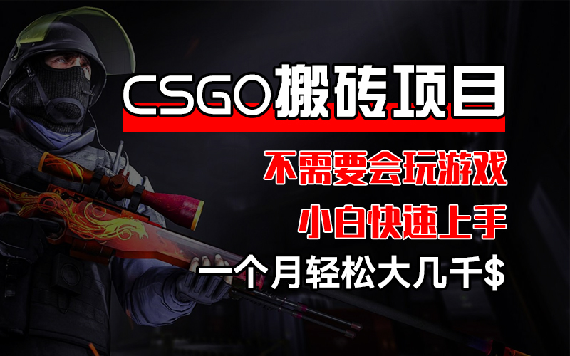 （12332期）CSGO 装备搬砖项目，操作简单，不需要会玩游戏，小白也能快速上手，一…-枫客网创