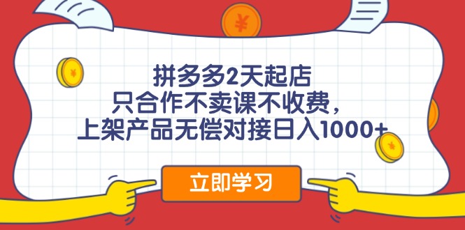 （12356期）拼多多0成本开店，只合作不卖课不收费，0成本尝试，日赚千元+-枫客网创