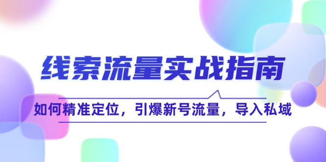 （12382期）线 索 流 量-实战指南：如何精准定位，引爆新号流量，导入私域-枫客网创