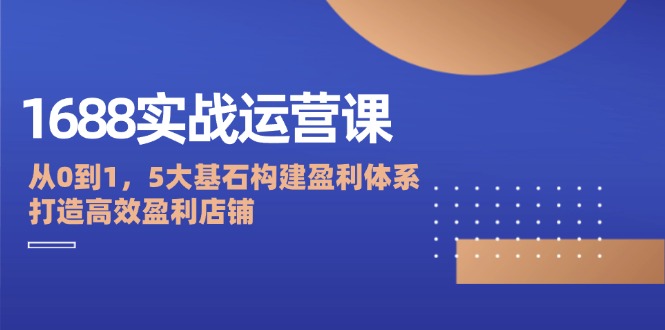 （12482期）1688实战运营课：从0到1，5大基石构建盈利体系，打造高效盈利店铺-枫客网创