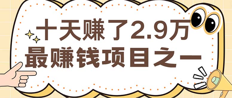 （12491期）闲鱼小红书赚钱项目之一，轻松月入6万+项目-枫客网创