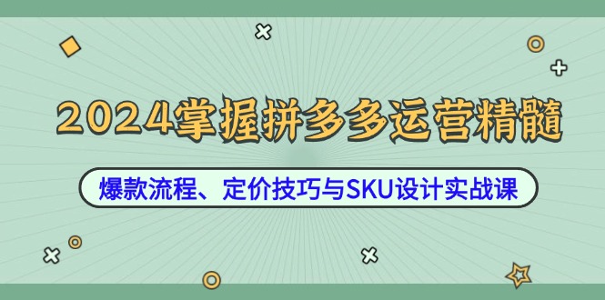 2024掌握拼多多运营精髓：爆款流程、定价技巧与SKU设计实战课-枫客网创