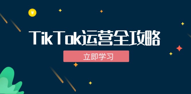 TikTok实战运营全攻略：从下载软件到变现，抖音海外版实操教程-枫客网创