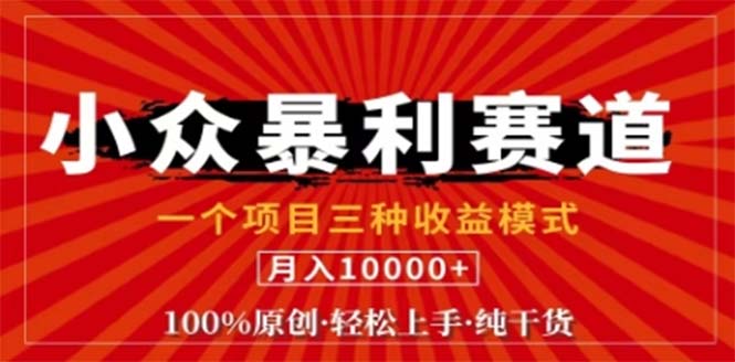 视频号最新爆火赛道，三种可收益模式，0粉新号条条原创条条热门 日入1000+-枫客网创