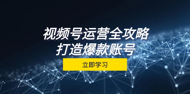 （12912期）视频号运营全攻略，从定位到成交一站式学习，视频号核心秘诀，打造爆款…-枫客网创