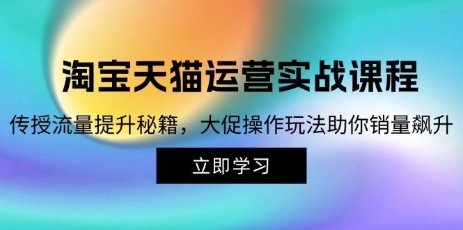 （12959期）淘宝&天猫运营实战课程，传授流量提升秘籍，大促操作玩法助你销量飙升-枫客网创