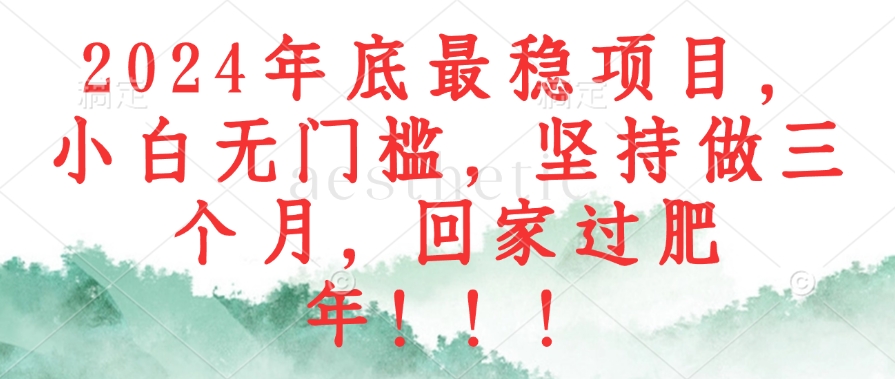 （12970期）2024年底最稳项目，小白无门槛，坚持做三个月，回家过肥年！！！-枫客网创