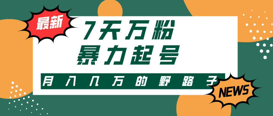 （13047期）3-7天万粉，快手暴力起号，多种变现方式，新手小白秒上手，单月变现几…-枫客网创