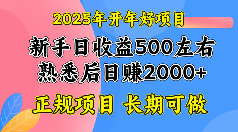 2025开年好项目，单号日收益2000左右-枫客网创