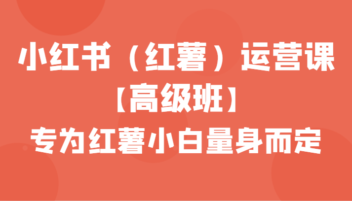 小红书（红薯）运营课【高级班】，专为红薯小白量身而定（42节课）-枫客网创