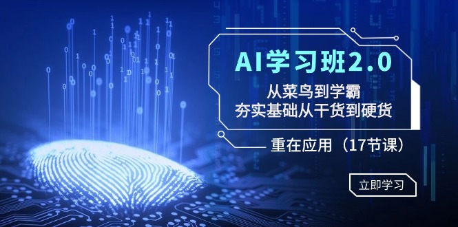 AI学习班2.0：从菜鸟到学霸，夯实基础从干货到硬货，重在应用（17节课）-枫客网创