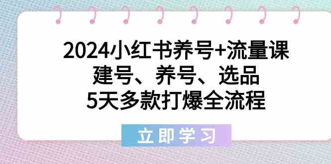 2024小红书养号+流量课：建号、养号、选品，5天多款打爆全流程-枫客网创