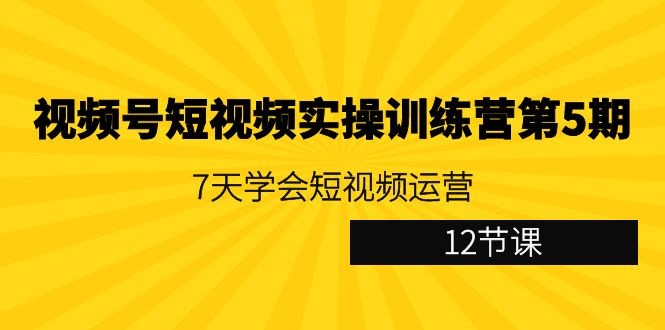 视频号短视频实操训练营第5期：7天学会短视频运营（12节课）-枫客网创