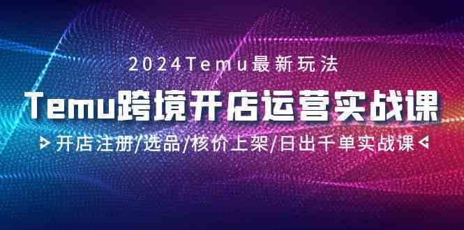 2024Temu跨境开店运营实战课，开店注册/选品/核价上架/日出千单实战课-枫客网创