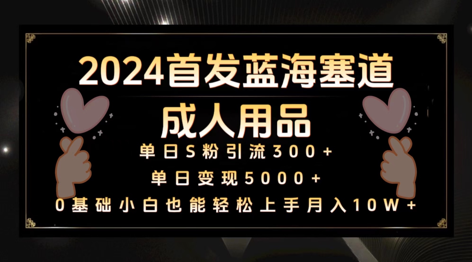 2024首发蓝海塞道成人用品，月入10W+保姆教程-枫客网创